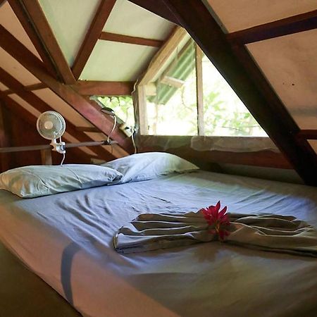 Luz En El Cielo Eco-B&B/Hostel Монтесума Экстерьер фото